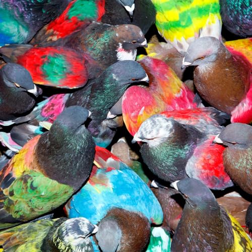 BLAWAN - SICKELIXIR (VINYL)