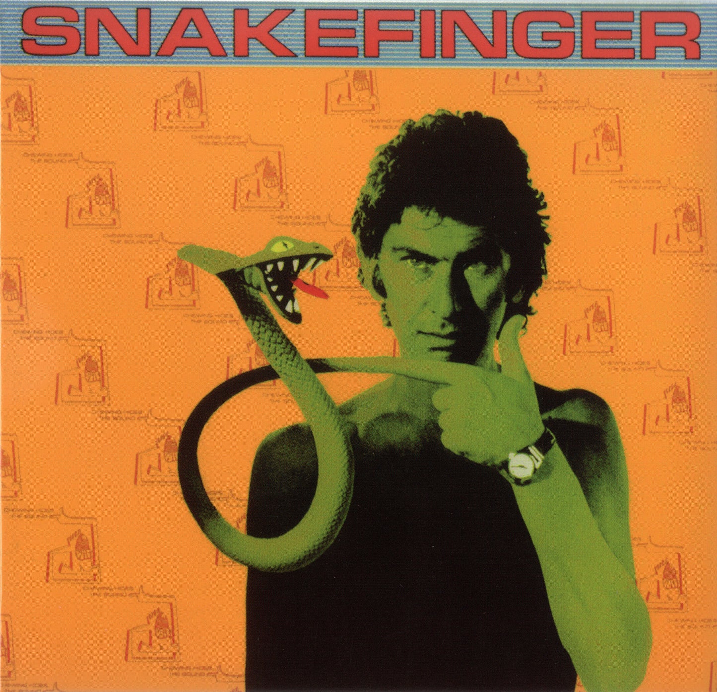 SNAKEFINGER  - CHEWING HIDES THE SOUND