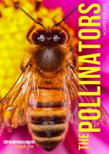 DREAMSCAPE EXPLORE: THE POLLINATORS, AGENTS FOR LIFE [DVD]