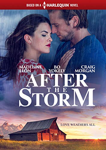 AFTER THE STORM  - DVD-2019-MADELINE LEON