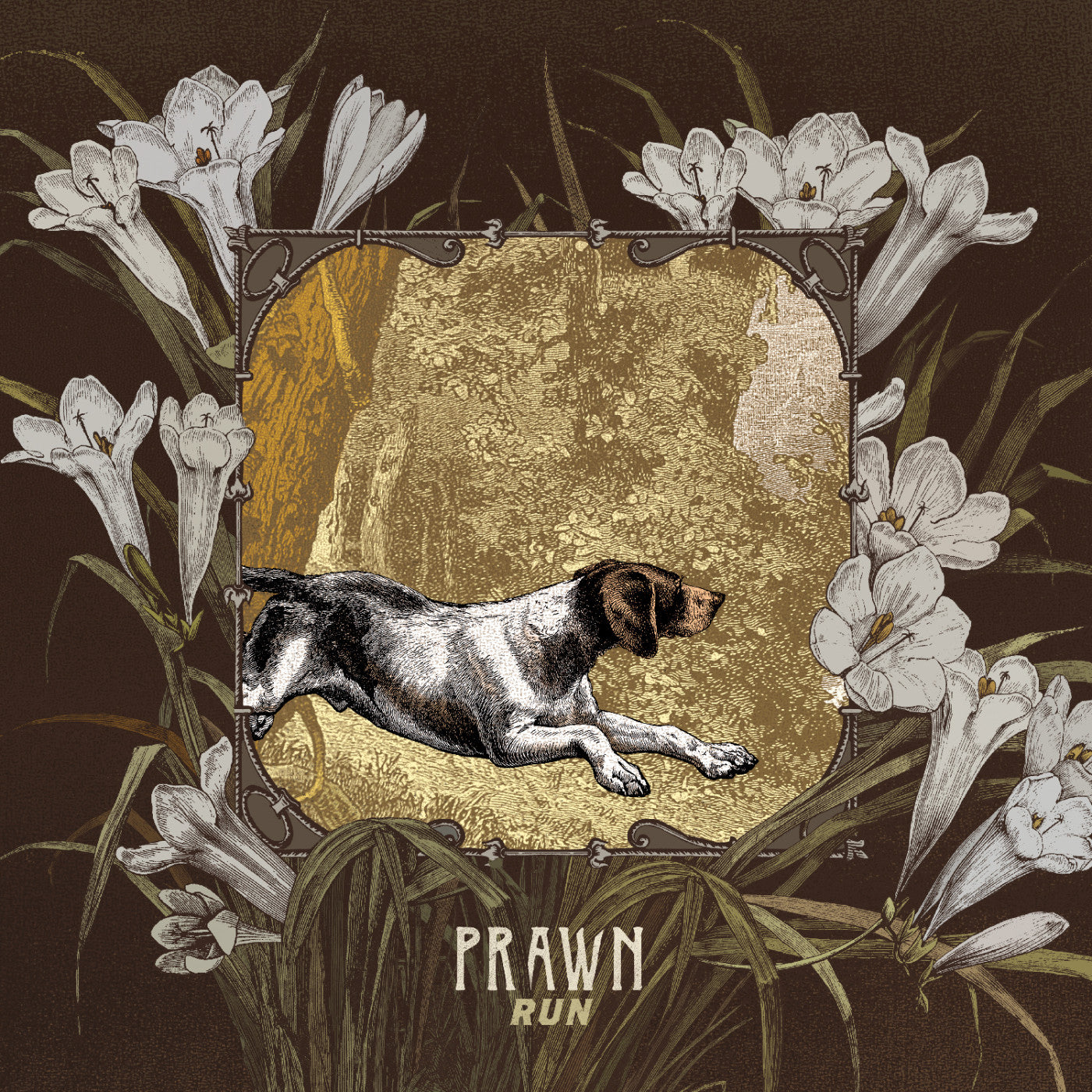 PRAWN - RUN