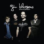 GIN BLOSSOMS  - LIVE IN CONCERT