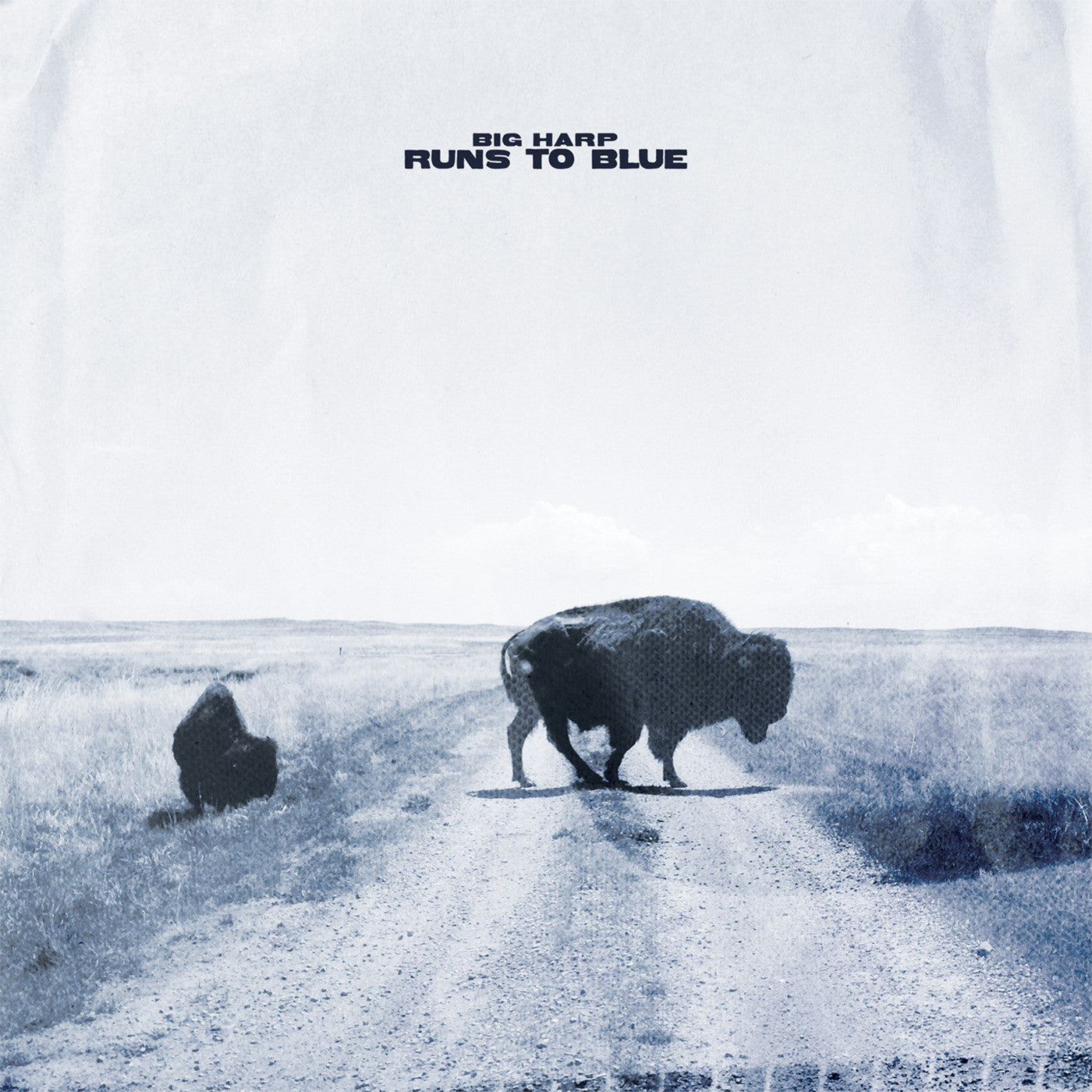 BIG HARP - RUNS TO BLUE (OPAQUE BLUE VINYL)