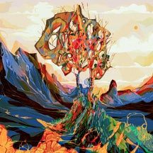 DELVING - ALL PATHS DIVERGE [LP]