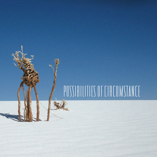 VARIOUS  - POSSIBILITIES OF CIRCUMSTANCE