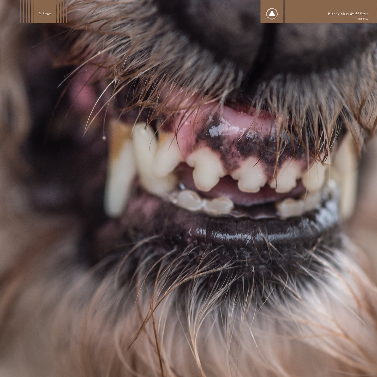 BLANCK MASS  - WORLD EATER