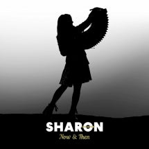 SHARON SHANNON - NOW & THEN: A RETROSPECTIVE BOX SET [LP]
