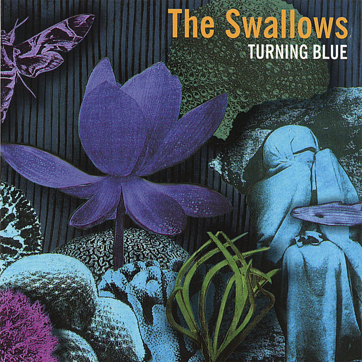 SWALLOWS  - TURNING BLUE