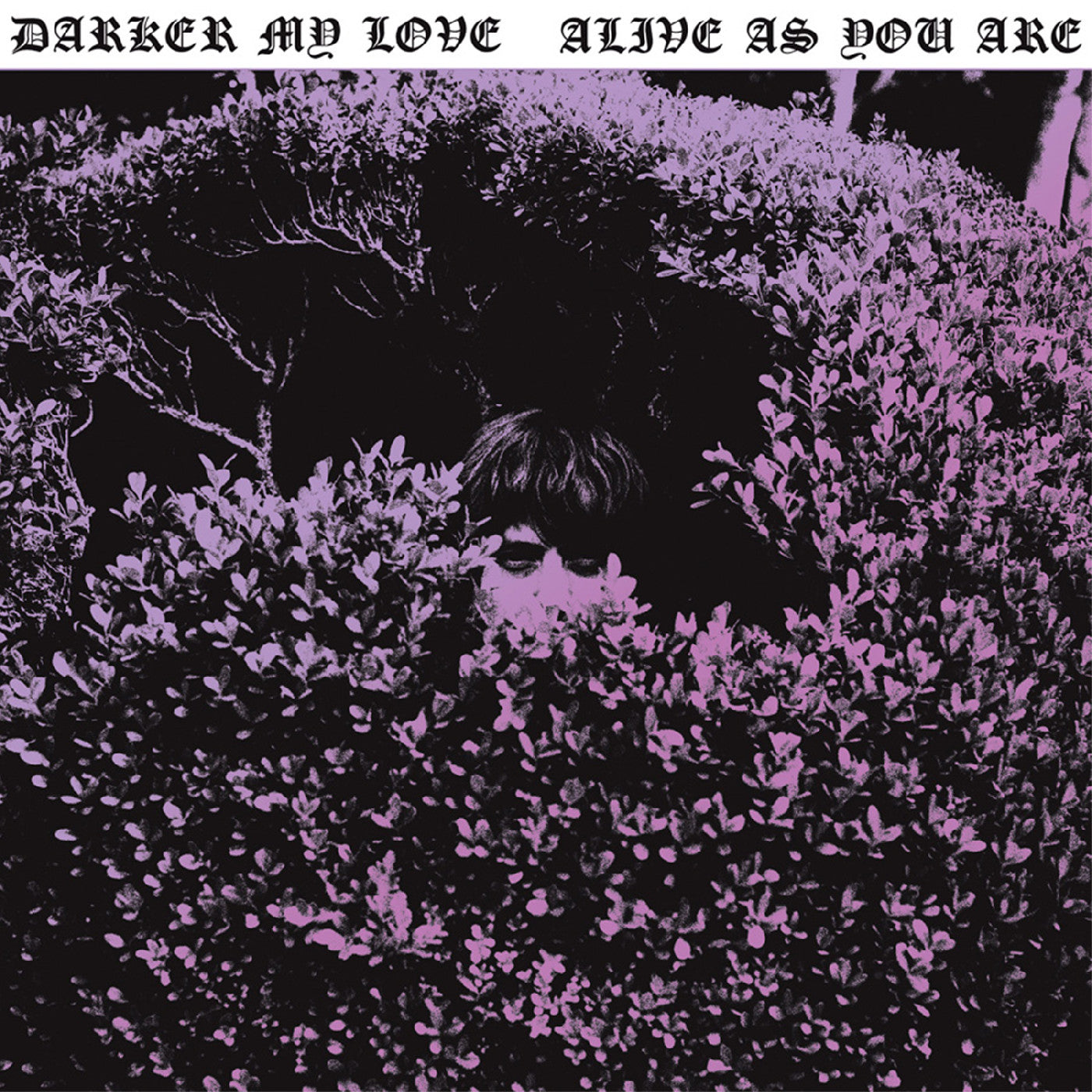 DARKER MY LOVE - ALIVE AS YOU ARE