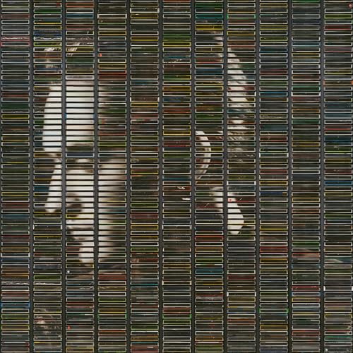 STEPHAN EICHER - POUSSIèRE D’OR (CD)