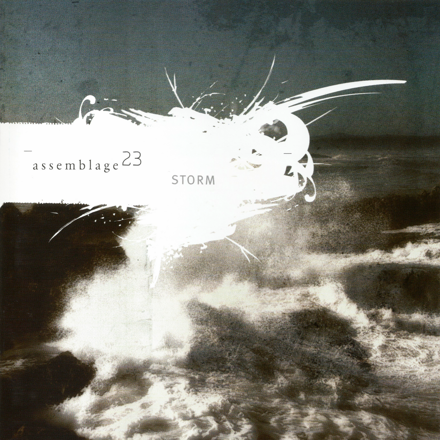 ASSEMBLAGE 23  - STORM