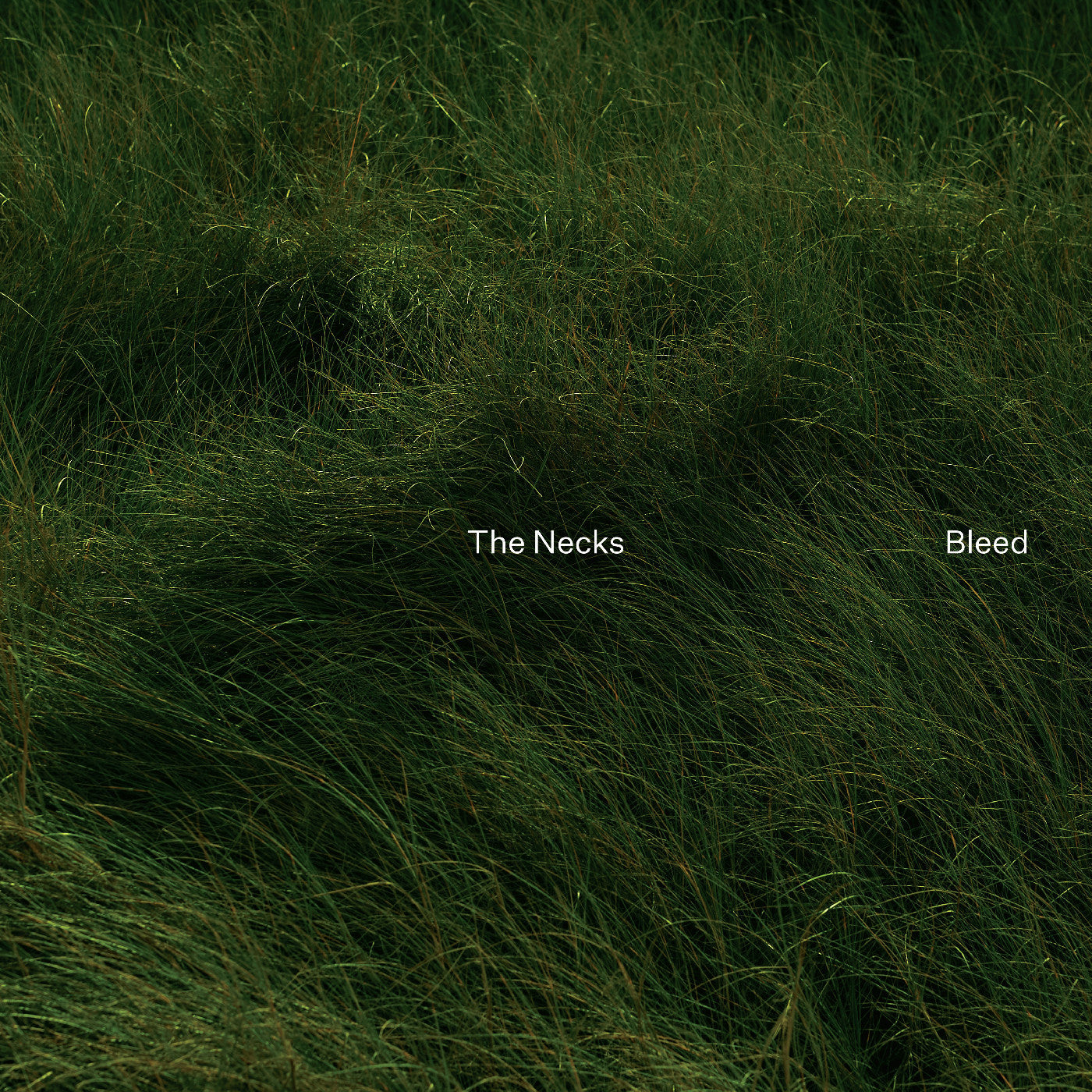 NECKS, THE - BLEED