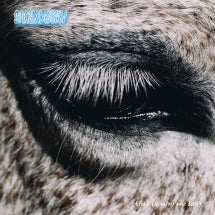 SMAG P├Ñ DIG SELV - THIS IS WHY WE LOST (BLACK VINYL) [LP]