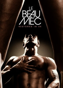 LE BEAU MEC [DVD]