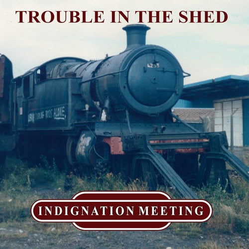 INDIGNATION MEETING - TROUBLE IN THE SHED [LP]
