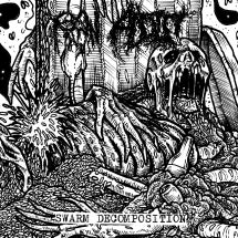 RAW ADDICT - SWARM DECOMPOSITION [CD]