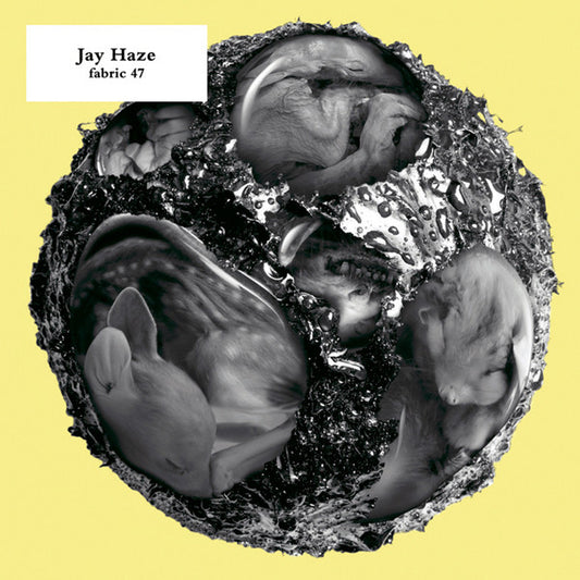 HAZE, JAY  - FABRIC V47