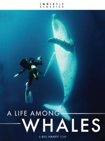 A LIFE AMONG WHALES (INDIEPIX CLASSICS) [DVD]