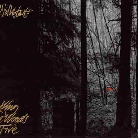 WALKABOUTS - SETTING THE WOODS ON FIRE