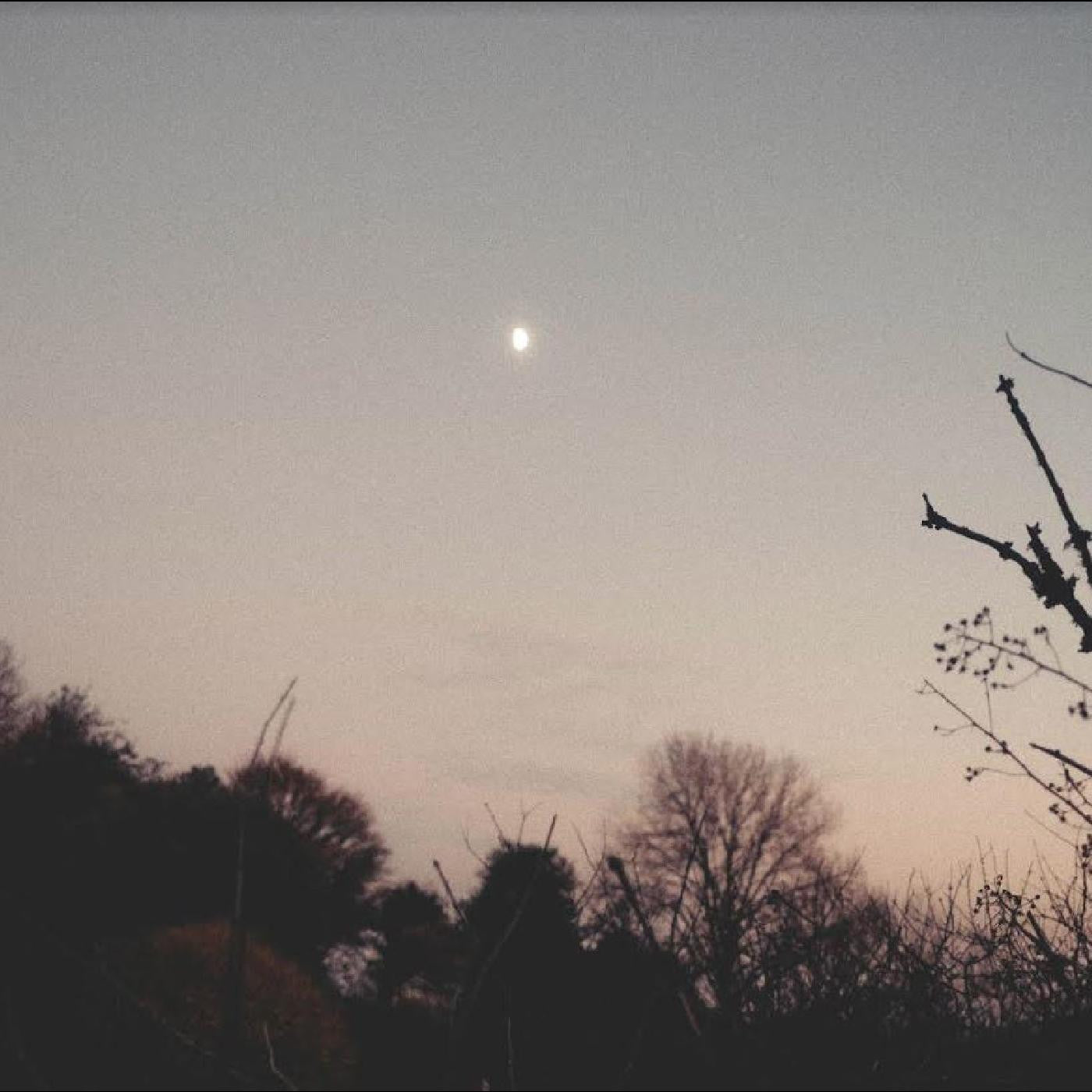 SERMANNI, RACHEL - DREAMER AWAKE