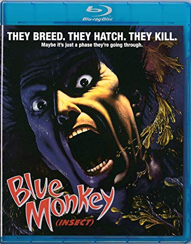SEEMS LIKE OLD TIMES (SOUS-TITRES FRANAIS) [IMPORT]
