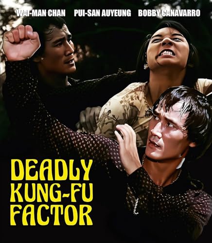 DEADLY KUNG-FU FACTOR (AKA THE DELIVERY)