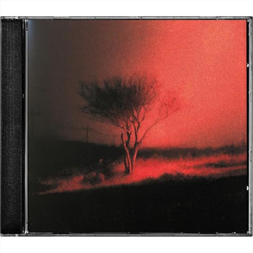 JOJI - PISS IN THE WIND (CD)