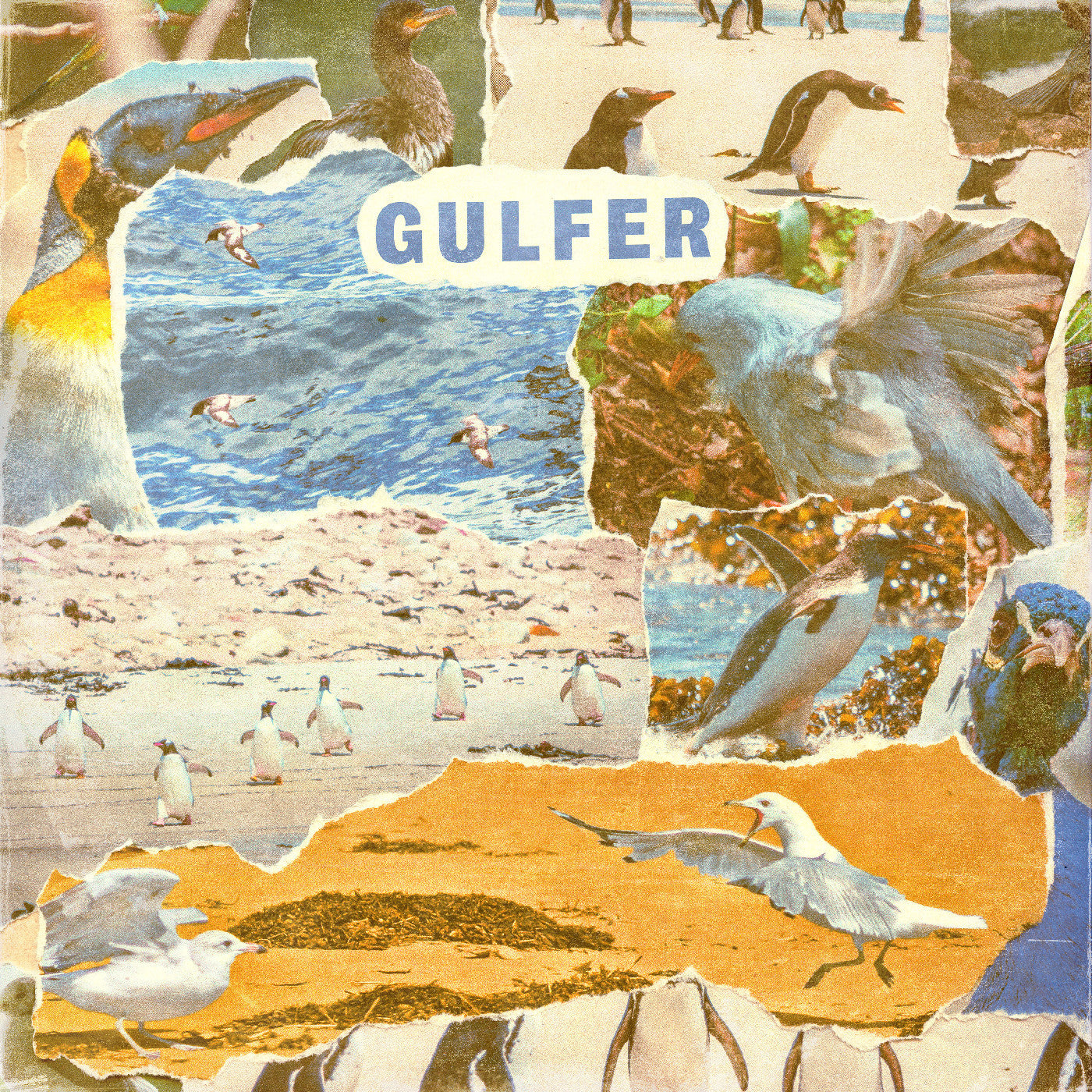 GULFER - GULFER