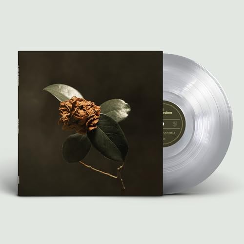 ST. PAUL & THE BROKEN BONES - YOUNG SICK CAMELLIA (VINYL)