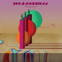 WILD POWWERS - WHAT YOU WANTED [LP]