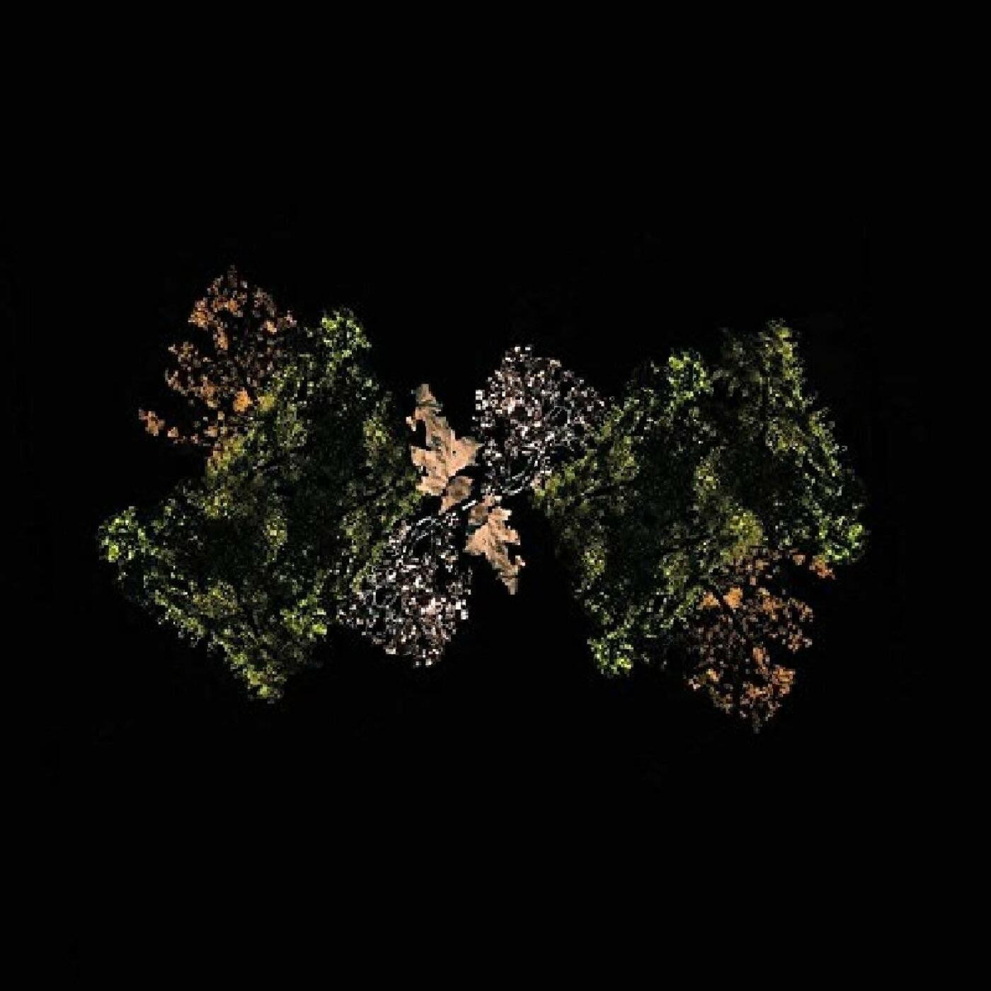 WOODSMAN - WOODSMAN (LEMON LIME VINYL)