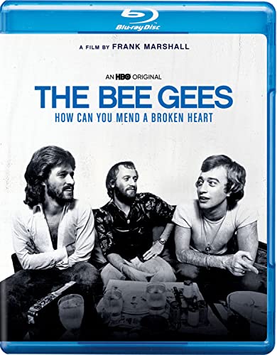 BEE GEES  - BLU-HOW CAN YOU MEND A BROKEN HEART