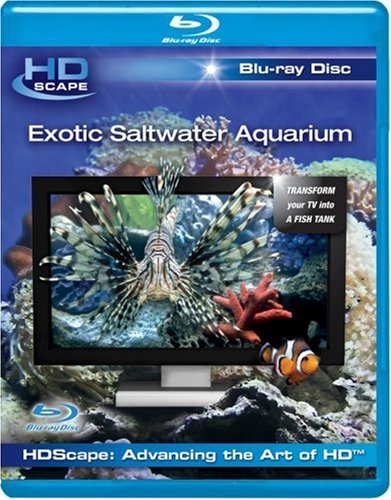 EXOTIC SALTWATER AQUARIUM - BLU-HDSCAPE