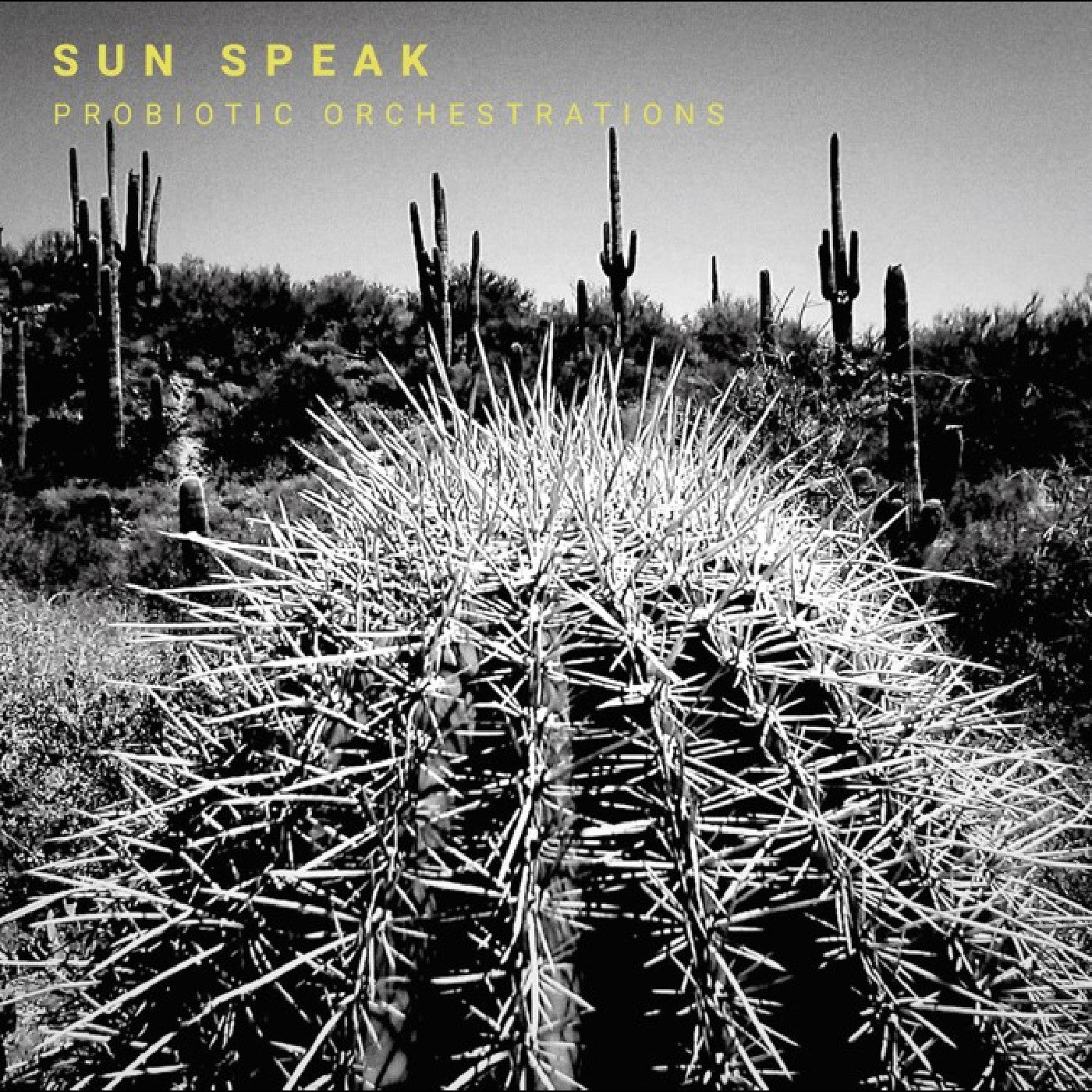 SUN SPEAK - PROBIOTIC ORCHESTRATIONS