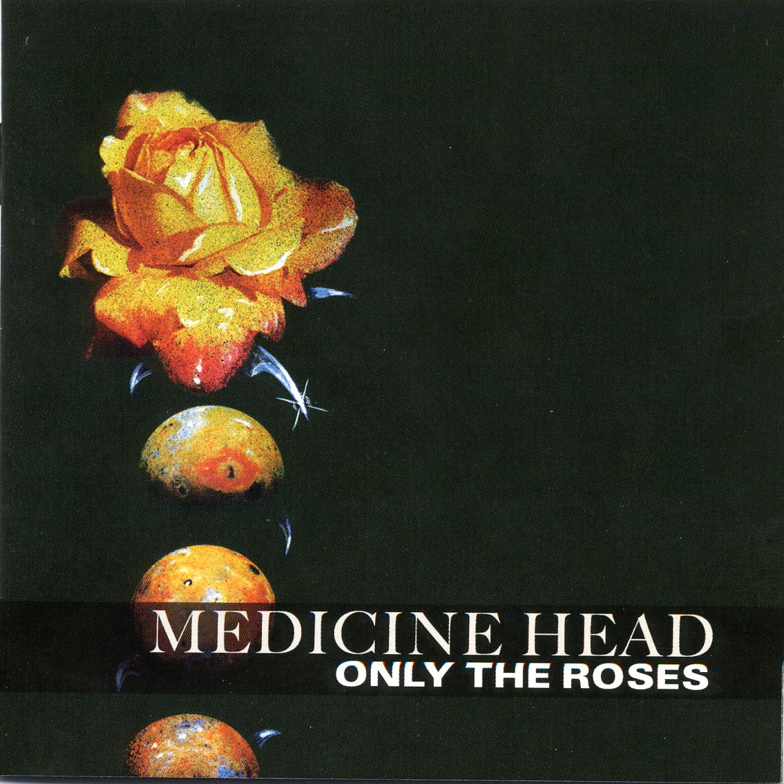 MEDICINE HEAD  - ONLY THE ROSES