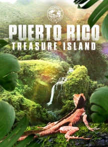 PASSPORT TO THE WORLD: PUERTO RICO [DVD]