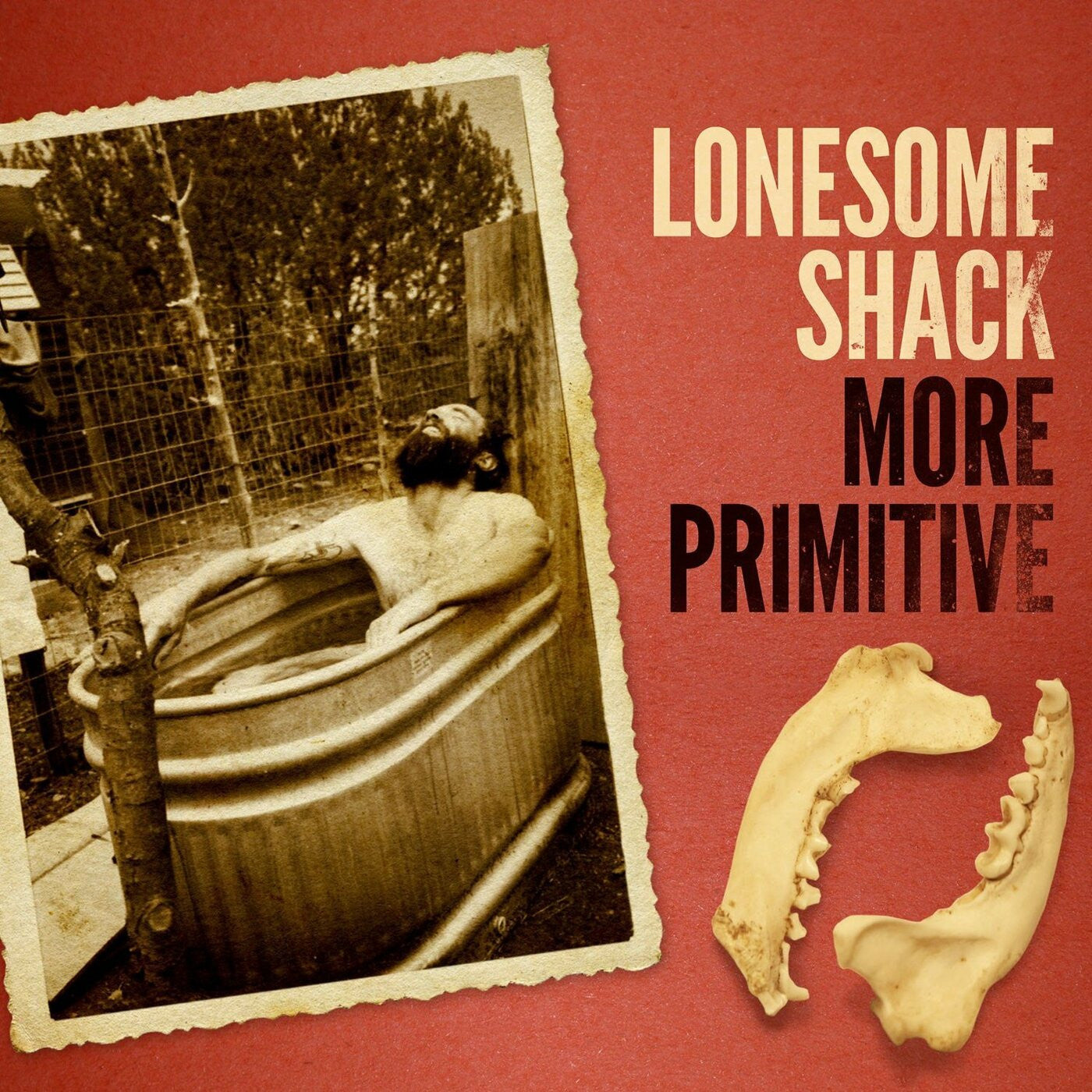 LONESOME SHACK - MORE PRIMITIVE
