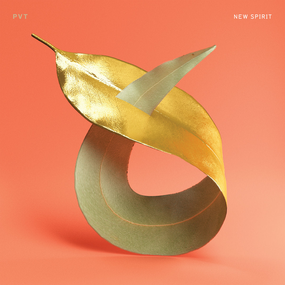 PVT  - NEW SPIRIT