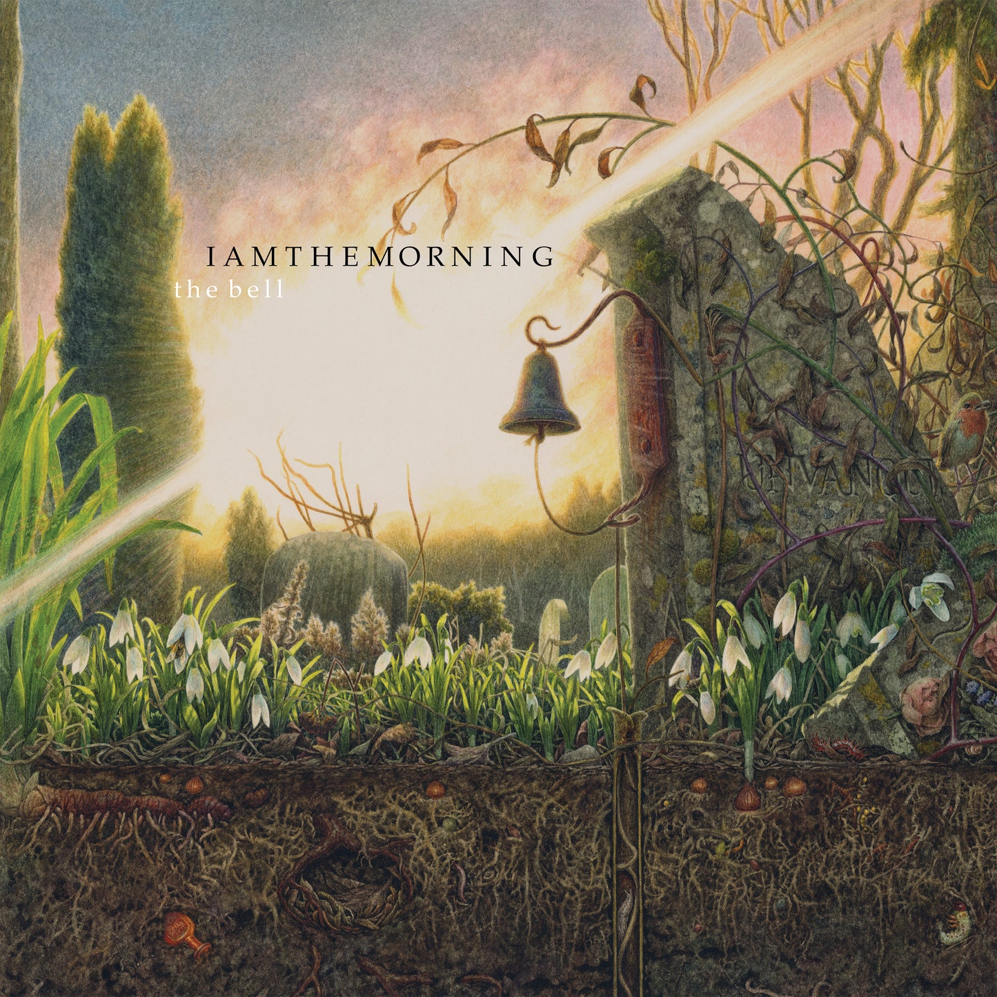 IAMTHEMORNING  - BELL