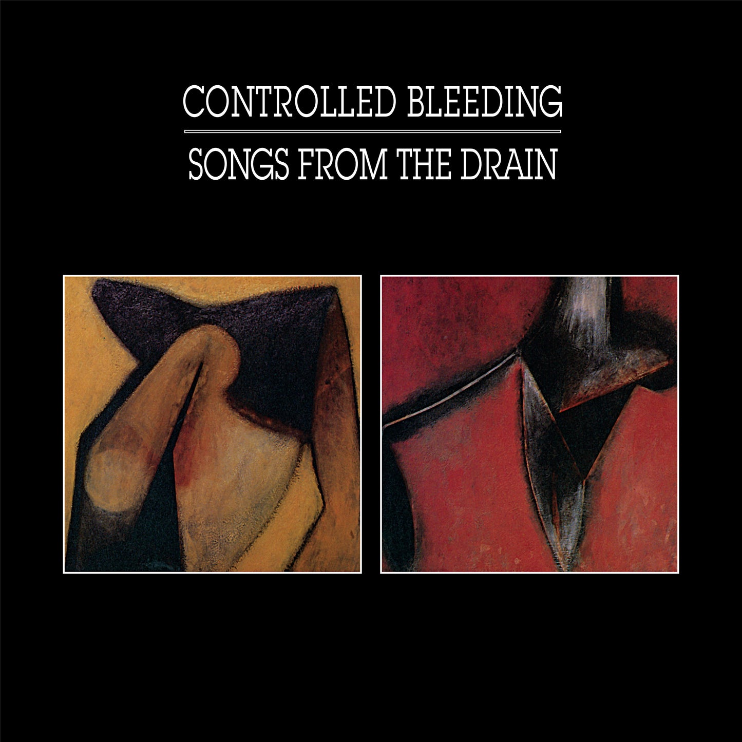 CONTROLLED BLEEDING  - SONGS FROM THE DRAIN