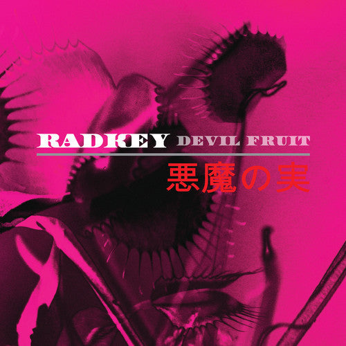 RADKEY  - DEVIL FRUIT