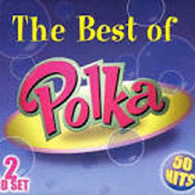 POLKA COLLECTIONS - BEST OF POLKA (2 CD) [CD]