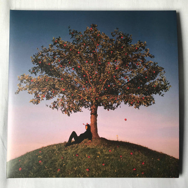Slowthai - Tyron (Red/Yellow) (Used LP)