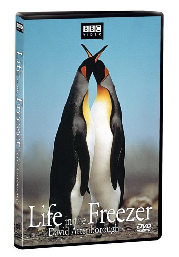 LIFE IN THE FREEZER
