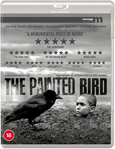 PAINTED BIRD - BLU-EUREKA-REGION B