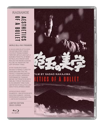 AESTHETICS OF A BULLET