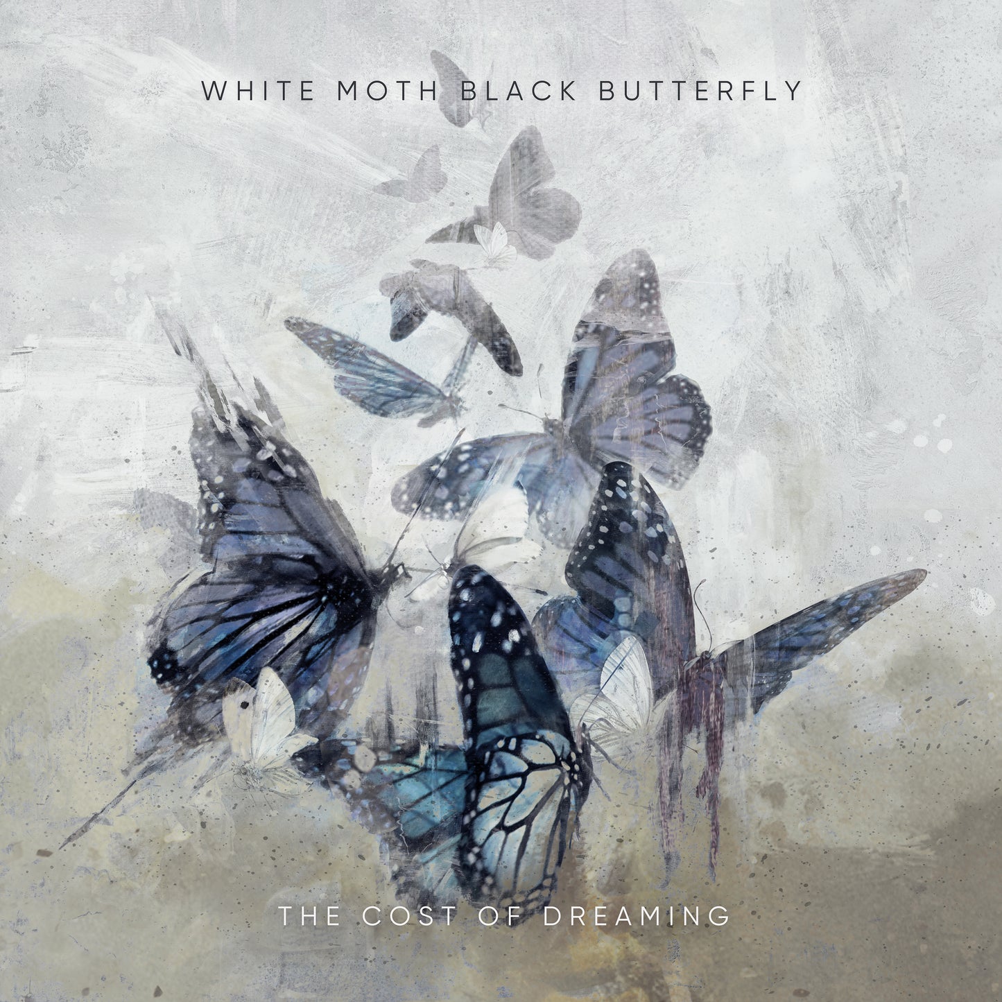 WHITE MOTH BLACK BUTTERFLY  - COST OF DREAMING