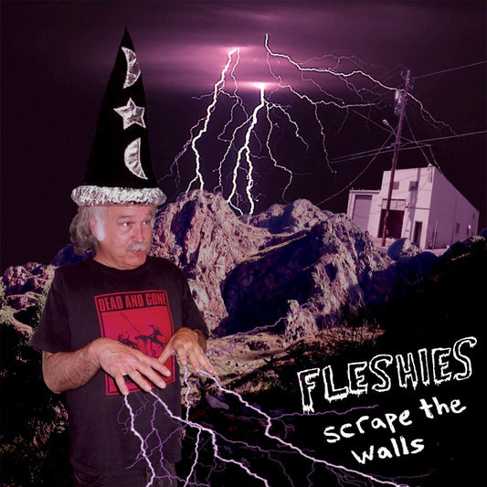 FLESHIES  - SCRAPE THE WALLS