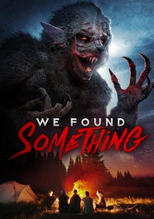 WE FOUND SOMETHING [DVD]
