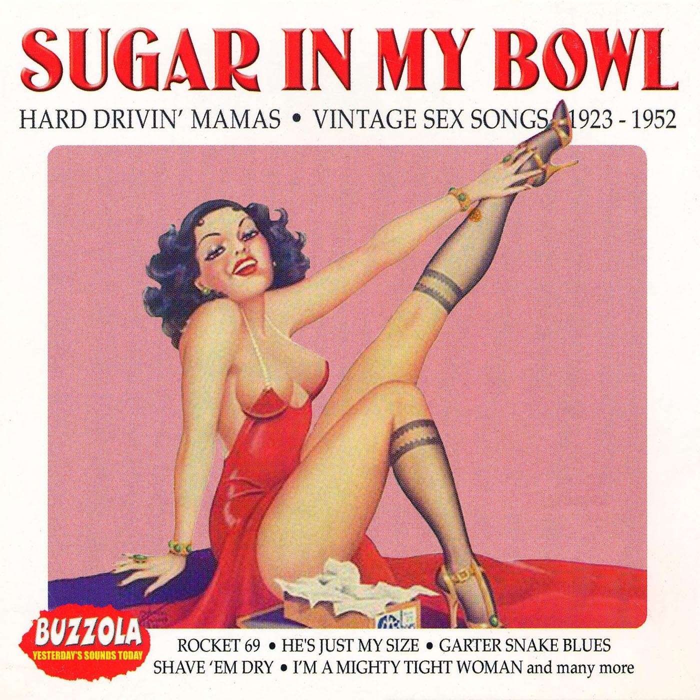VARIOUS  - VINTAGE SEX SONGS
